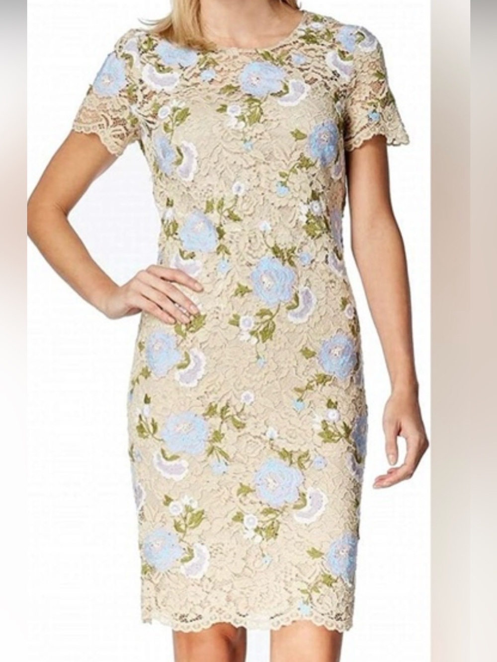 Calvin Klein Floral Lace Sheath Dress in Beige with Blue Embroidery